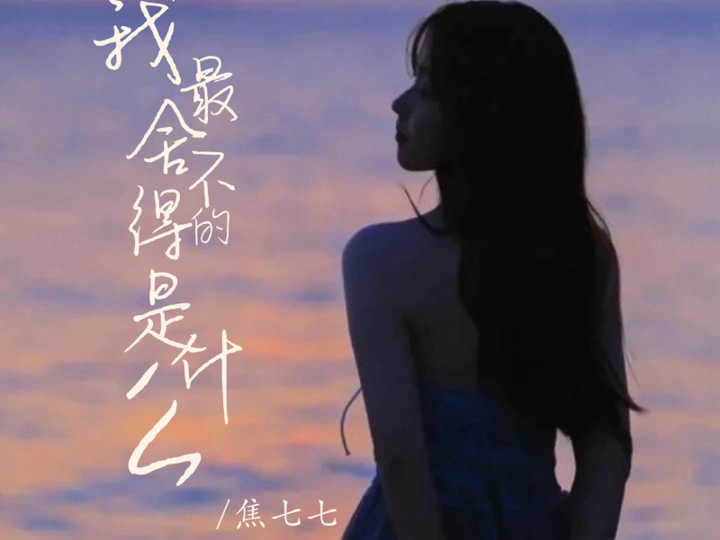 我最舍不得的是什么 (Single)