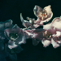 this is what love is (Single)