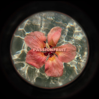 Passionfruit (Afro House) (Single)