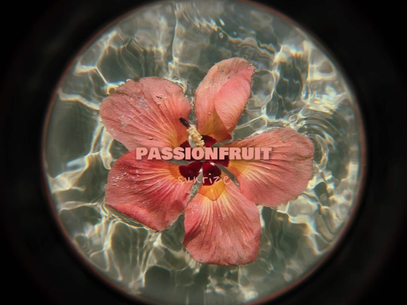 Passionfruit (Afro House) (Single)