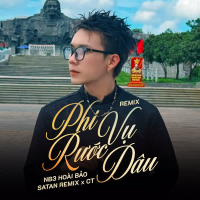 Phi Vụ Rước Dâu (Remix) (Single)