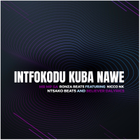 Intfokodo Kuba Nawe (feat. Nicco NK) [with NTSAKO BEATS & Believer Dalyrics] (Single)