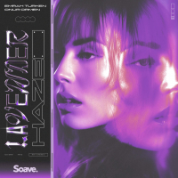 Lavender Haze (Single)