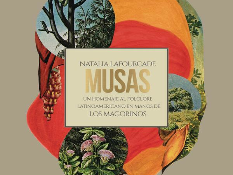 Musas (Un Homenaje al Folclore Latinoamericano en Manos de Los Macorinos), Vol. 2