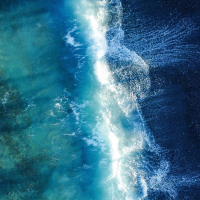 Ultimate Ocean Waves for Pets - Noise, Sounds, Relax (Single)