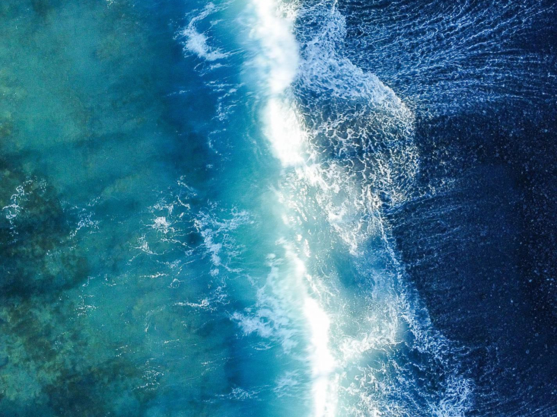 Ultimate Ocean Waves for Pets - Noise, Sounds, Relax (Single)