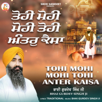 Tohi Mohi Mohi Tohi Anter Kaisa (Single)