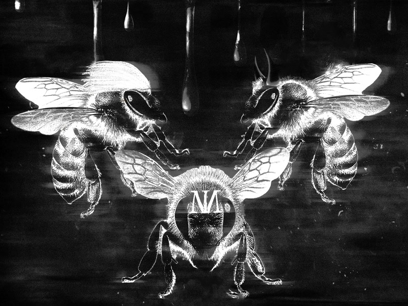 HONEY MOODS (Single)