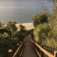 The Thrill of it All (Single)