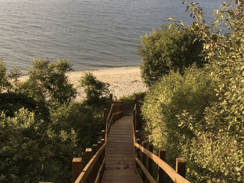 The Thrill of it All (Single)