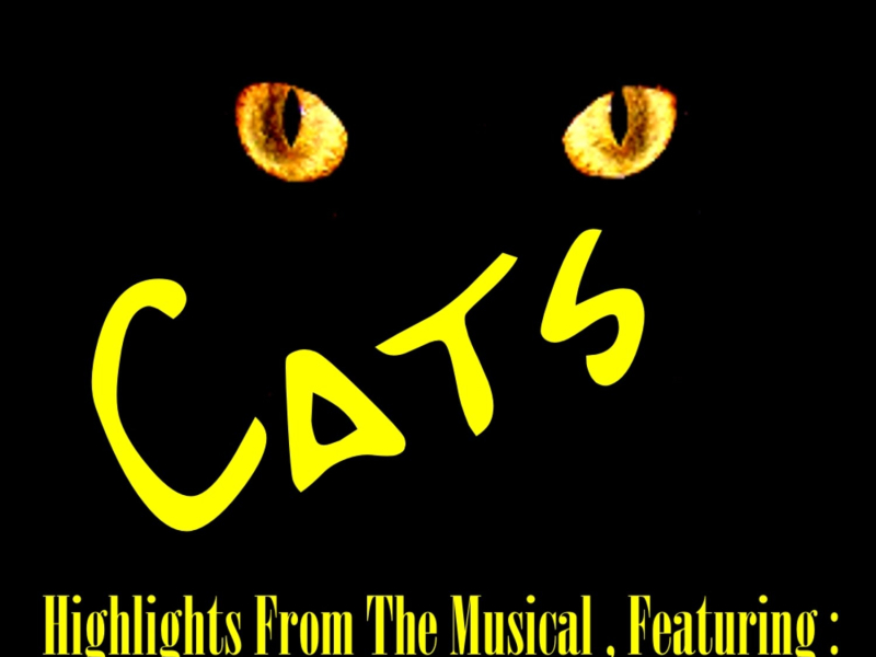 Highlights from Cats