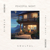 Peaceful Night (Single)