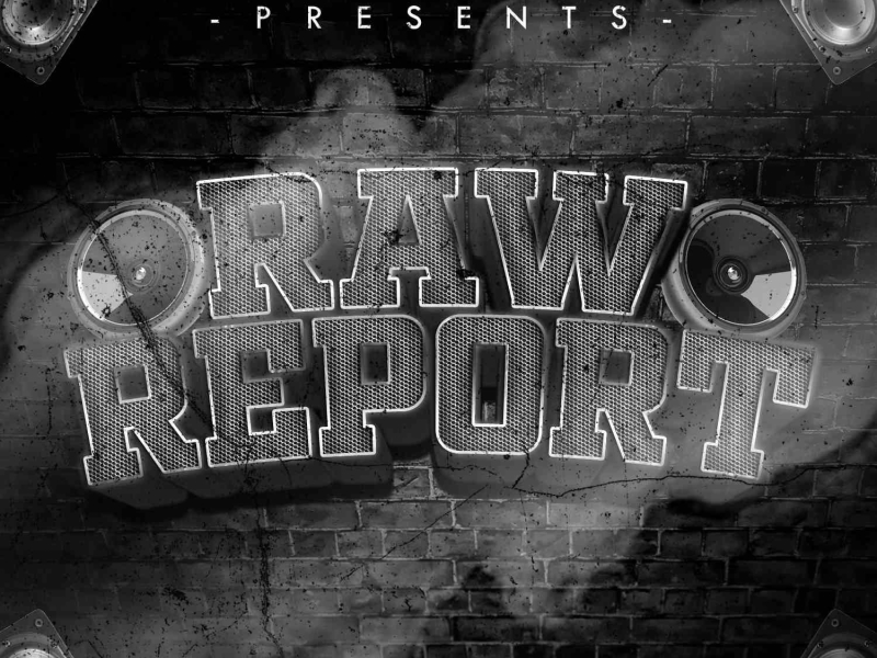 Raw Report (Single)
