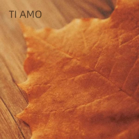 TI AMO (Single)