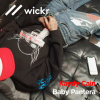 Wickr (Single)