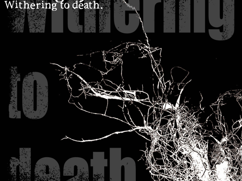 Withering to death.