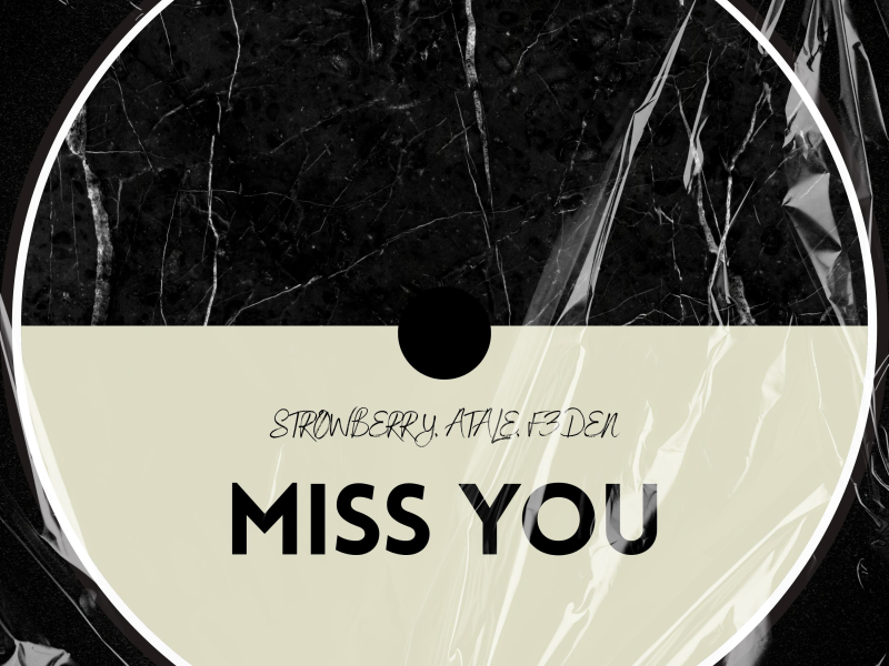Miss You (Speed Garage) (Single)