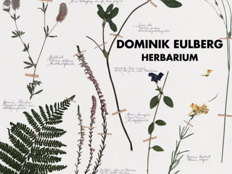 Herbarium