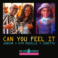 Can You Feel It (Single)