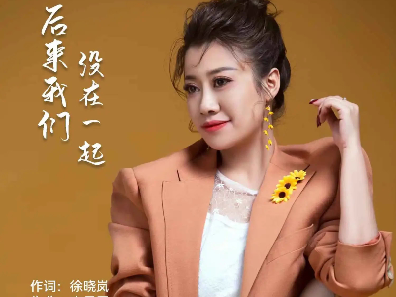 后来我们没在一起 (Single)