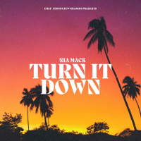 Turn It Down (Single)