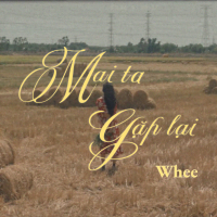 Mai Ta Gặp Lại (Single)