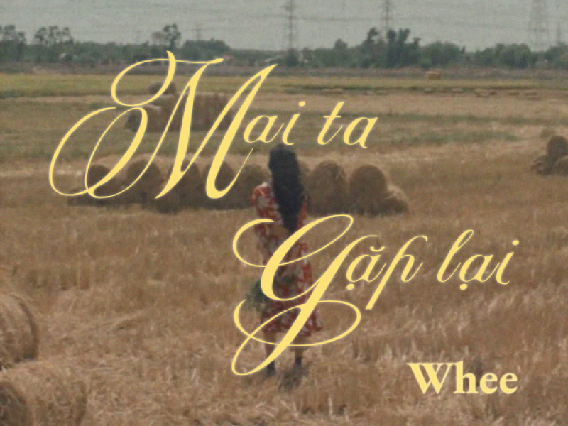 Mai Ta Gặp Lại (Single)