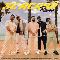 Se acabó (Remix) (Single)