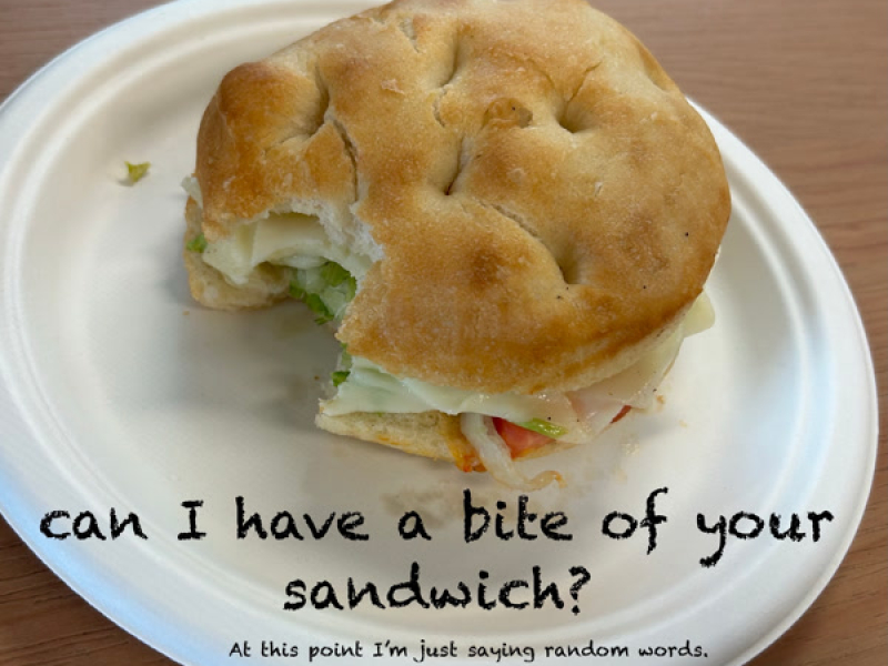 can I have a bite of your sandwich? At this point I'm just saying random words. (Single)