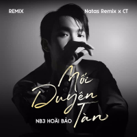 Mối Duyên Tàn (Remix) (Single)