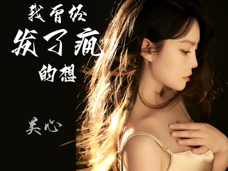 我曾经发了疯的想 (DJ默涵版) (Single)