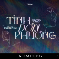 Tình Đơn Phương (Remixes) (EP)