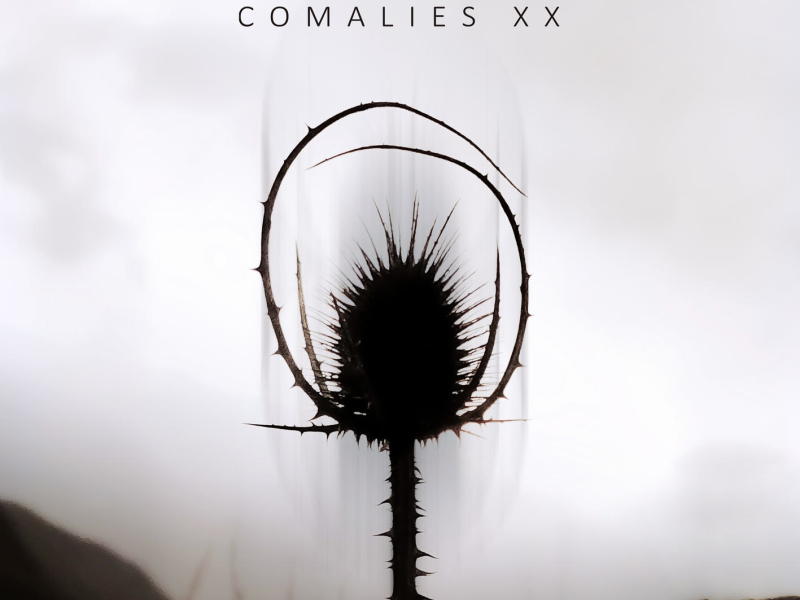 Comalies XX