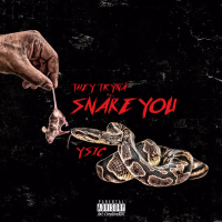 They Trying to Snake You (Single)