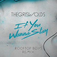 If You Wanna Stay (The Rooftop Boys Remix) (Single)