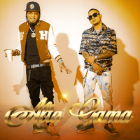 Alta Gama (Remix) (Single)