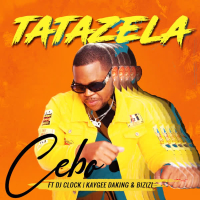Tatazela (feat. DJ Clock, KayGee DaKing & Bizizi) (Single)