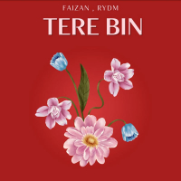 Tere bin (Single)