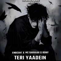 Teri Yaadein (Single)
