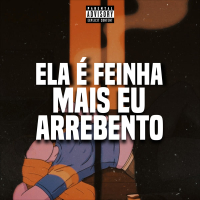 Ela é Feinha Mais Eu Arrebento (Single)