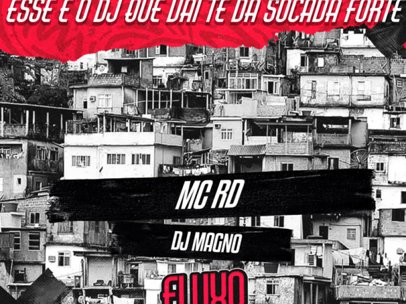 Esse é o DJ Que Vai Te da Socada Forte (Single)