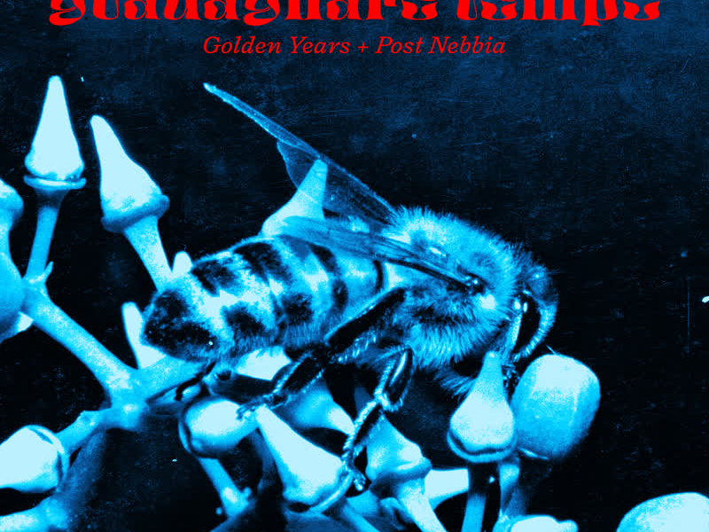 Guadagnare Tempo (Single)