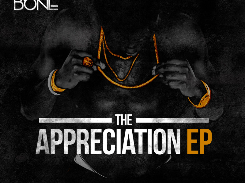 The Appreciation (EP)