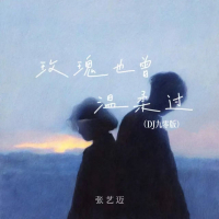 玫瑰也曾温柔过 (Dj九零版) (Single)