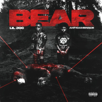 BEAR (Single)