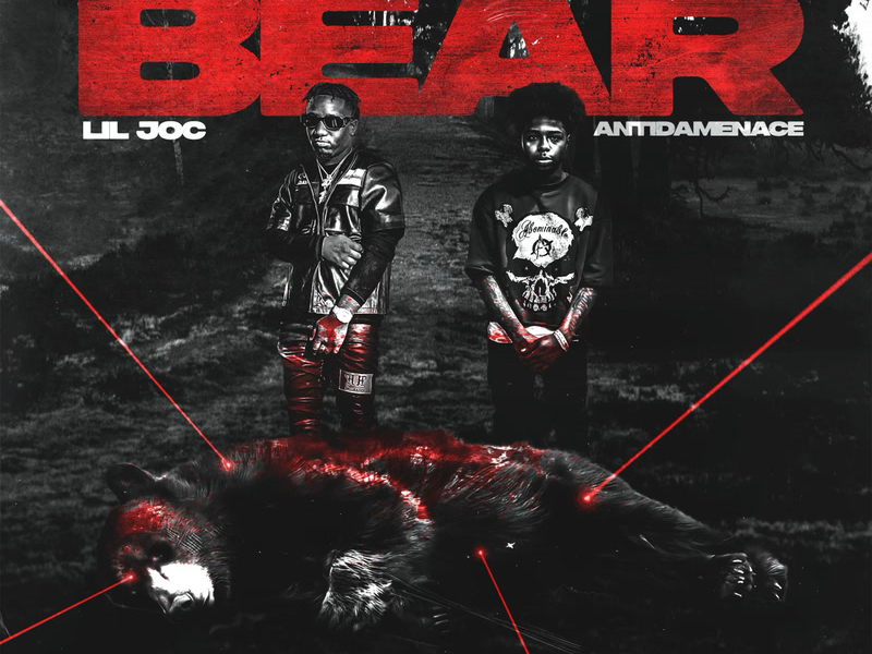 BEAR (Single)