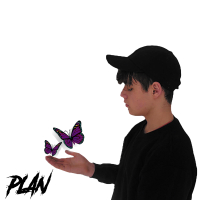 Plan (Single)