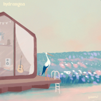 Hydrangea (Single)