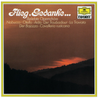 Flieg, Gedanke... - Beliebte Opernchöre