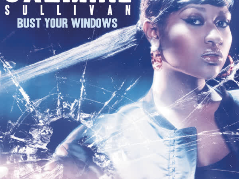 Bust Your Windows (Single)